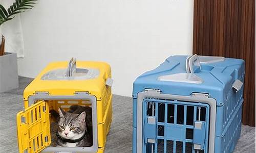 航空托运猫咪价格怎么收费(航空托运宠物猫大概多少钱)_https://www.hhdlqc.com_上期能源_第1张